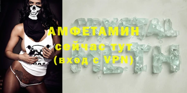 шишки Няндома