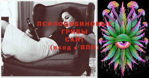 спиды Дмитров