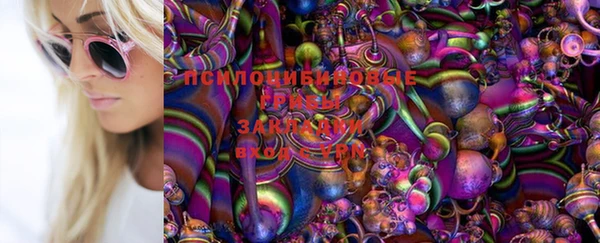спиды Дмитров