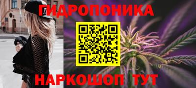 PSILOCYBIN Ирбит