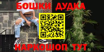 PSILOCYBIN Ирбит