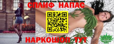 PSILOCYBIN Ирбит