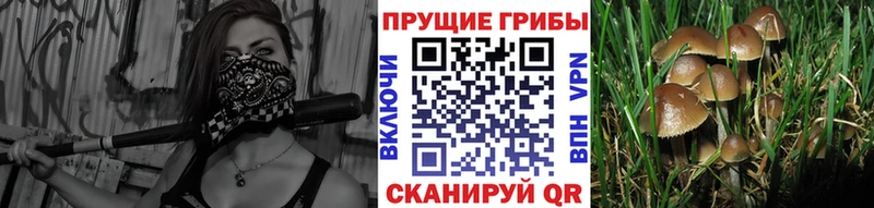 мориарти состав  OMG tor  Острогожск  Псилоцибиновые грибы Psilocybe 