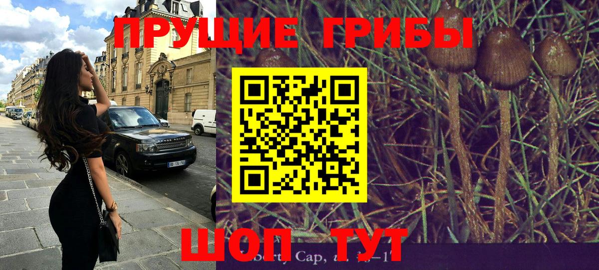 Галлюциногенные грибы Psilocybine cubensis  цены наркотик  Острогожск  Псилоцибиновые грибы ЛСД 