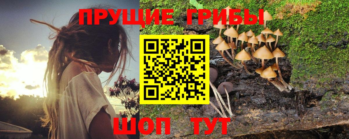 Галлюциногенные грибы мухоморы Острогожск